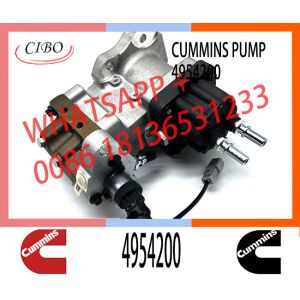 Diesel Fuel Injection Pump 4088604 4954200 P4954200 CCR1600 5311171 For Cummins