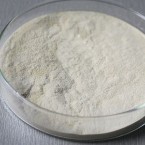 1200000U/G 2400GDU Bromelain Powder Protease Soluble In Water