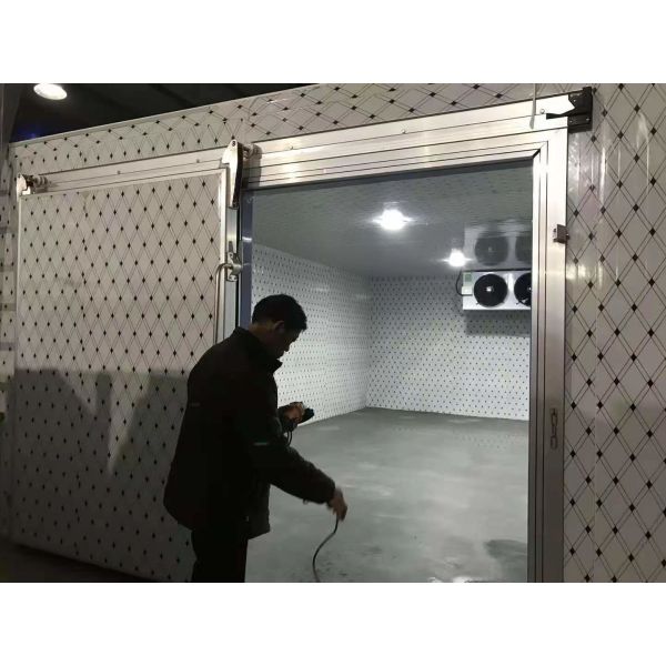 Quality Custom Walk-In Refrigerator Cold Room Storage Room For Fruit Vegetable wholesale