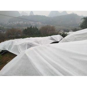 Good Transparency Agriculture Non Woven Fabric Non - Poisonous Frostproof Fabric