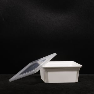 Customized PP Plastic Sandwich Lunch Box with Snap On Lid In Rectangular Shape