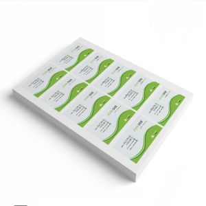 Uniform Coating 2880 Dpi Matte Inkjet Name Card Paper