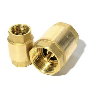 Brass Spring Check Valve 1/2 inch Check Valve Brass Male Thread Check Valve