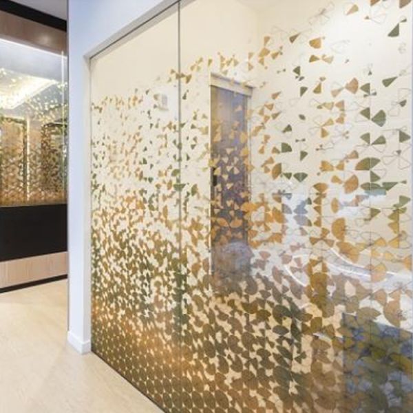 Color Tinted Tempered Glass for Window Construction Durable Option