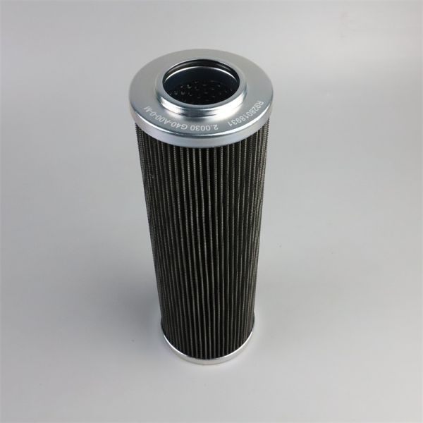 2.0030 H10 SL-C00-0-P Hydraulic Pressure Filter Element with B12 1000 Filter Fineness