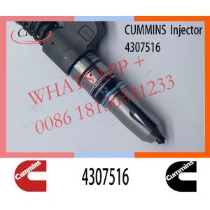 Diesel QSM11 ISM11 M11 Engine Fuel Injector 4307516 4061851