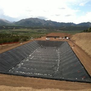 Waterproof 1mm HDPE Geomembrane Pond Liner for Water Tank and Swimming Pool at