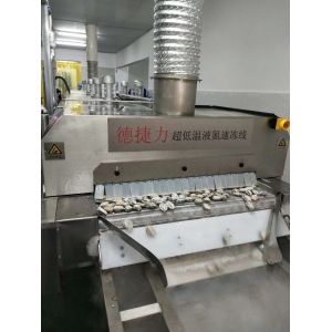 DJL High Quality Seafood Iqf Machine / Industrial Freezer Cryogenic Freezer