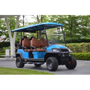 2 4 6 Seat Lifted Electric Golf Cart with DOT EEC Certification and Long-lasting