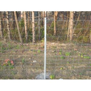 HGMT 1.8m Field Livestock Fence Panels For Deer
