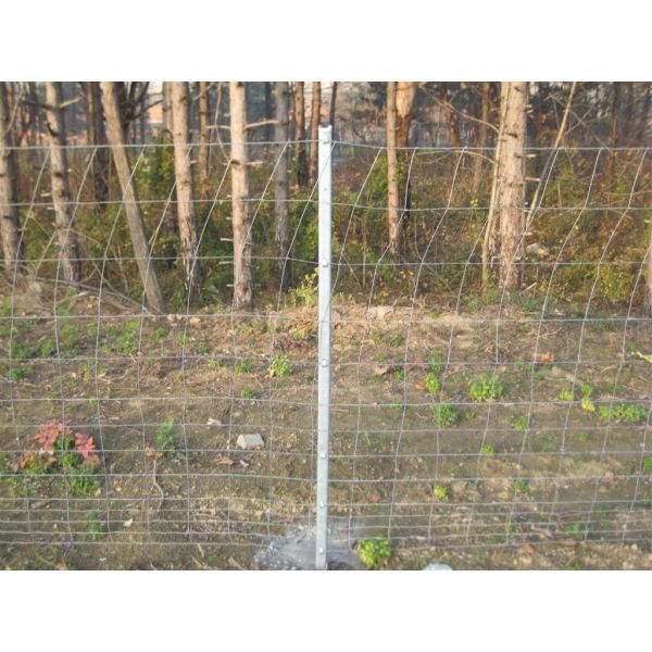 Quality HGMT 1.8m Field Livestock Fence Panels For Deer wholesale