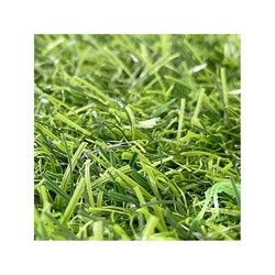 New vertical garden artificial grass/artificial turf/artificial lawn artificial