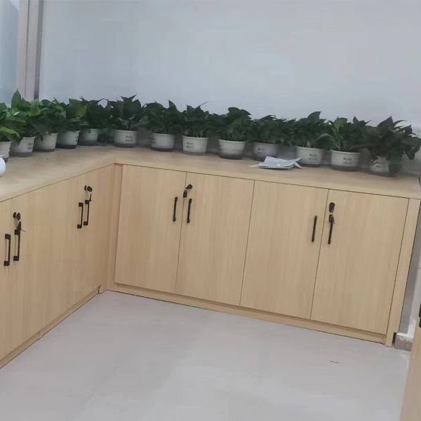 Quality Office Furniture File Storage Cabinet Wooden Filing Cabinet With 2 Door wholesale