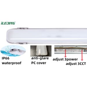 80 Ra LED vapor tight 2ft 3CCT Selectable LED vapor tight IP66 for Linkable