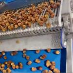 Smart and Capacity Sorting Machine for Perfect Dates Every Time Powered by