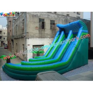 0.55mm PVC Commercial Coco Outdoor Inflatable Water Slides 10L x 5.5W x 6.5H