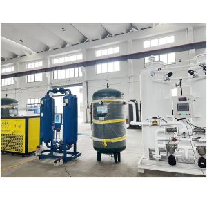 Low Energy Nitrogen Production Food Packaging Machine with Low Energy Consumptio