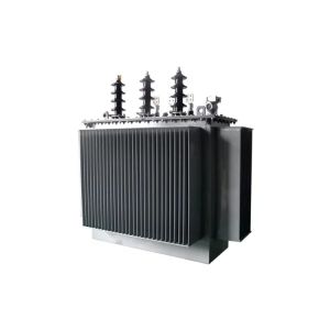 S11 Copper Winding Three Phase Oil Immersed Transformer 20kv For Enterprise /