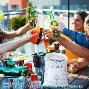 Ice Bags for Ice Machine, Heavy-Duty Reusable Ice Cube Bags, Portable Storage