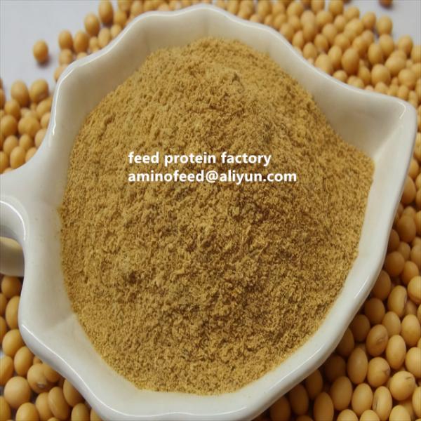 Quality Soya Meal Hi Protein 50% Protein, Natural Yellow Color, Powder Form | Non-GMO, Highly Digestible, Promotes Digestion, Suitable For Poultry And Aquatic Animals wholesale