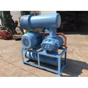 100 4 Inch Port Dia Roots Type Blower High Efficiency Low Energy Consumption