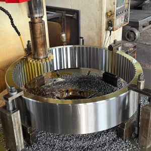 Cheap Internal Spur Gear with compact internal meshing structure for enhanced power transmission for sale