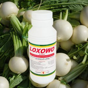 Natural Green Foliar Organic Water Soluble Fertilizer Nutrient Rich