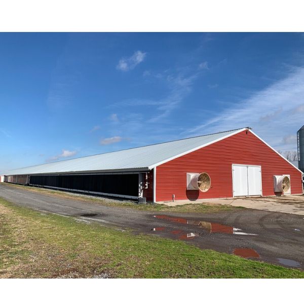 Q235B Q355B Steel Structure Chicken House , Economical Prefab Steel Structure Building