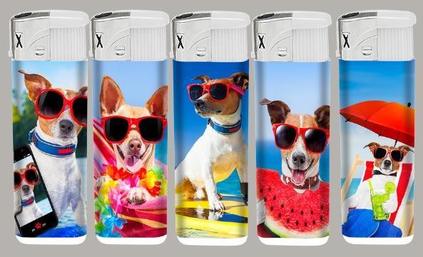 Plastic Refillable Flint Gas Lighter with Transparent Design and ISO9994