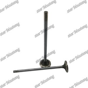 China 3126 Engine Spare Valve Part 145-7390 147-8211 For Carter on sale