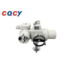 CL Series Intelligent Electrohydraulic Direct Travel For Parameter Regulation