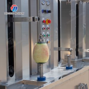 Melon and fruit double head with single cutter peeling machine pineapple Peeling