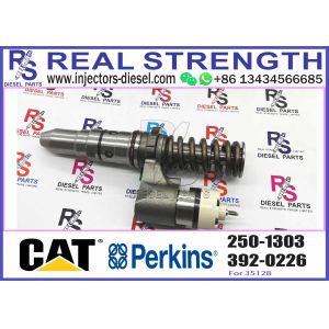 Engineering machinery Fuel Injector 250-1303 250-1311 250-1302 250-1304 250-1303