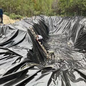 1.2mm 1.5mm HDPE Geomembrane for Pond Industrial Design Double Smooth/Double