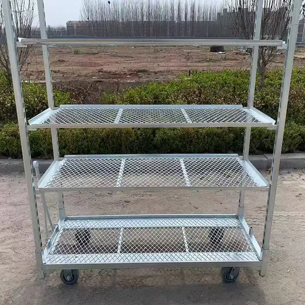 Quality PP Wheel Dutch Flower Trolley Rust Resistant Offering 25cm Shelf Height Suitable for Professional Floral Transport Needs wholesale