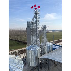 Cheap Smart Agriculture Integration Solution 100-1000 T/D Handling Capacity Paddy Dryer Machine with Natural Gas Fuel Compatibility for sale