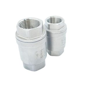 Check Valve Customization Stainless Steel Spring Vertical Non Return Customized