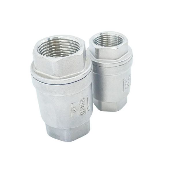 Quality Unidirection Flow Direction Stainless Steel 304 316 Female Spring Vertical Check Valve wholesale