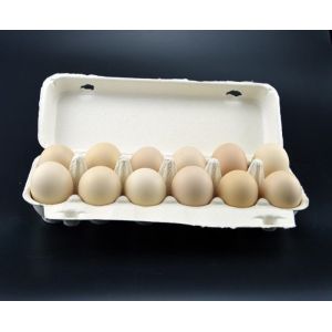 Two Molds Egg Tray egg box Making Machine with metal dryer