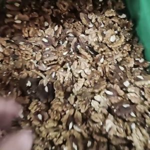High Capacity Nut Kernel Color Sorting Machine Utilizing High Frequency Linear