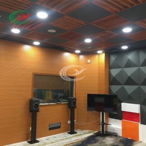 Recording Studio Architecture Acoustic Design Practical Soundproof