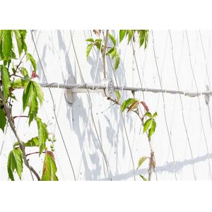 China 60mm*60mm Hole Stainless Steel Rope Mesh Green Wall For Greening on sale