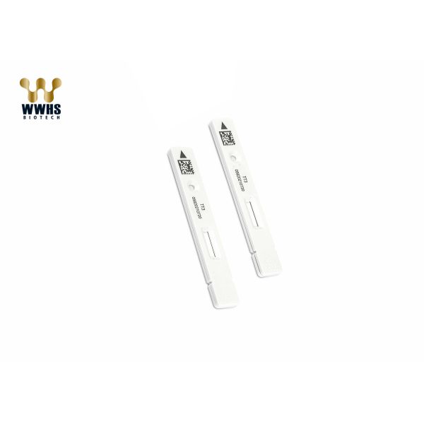 High Stability Thyroid Hormone T3 T4 Antigen Rapid Test Cassette