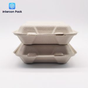 Sugarcane Pulp Bagasse Food Trays Disposable Rectangle Square shape