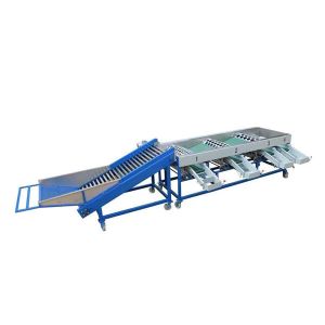 Cheap garlic grading machine,garlic sorting machine,onion garding machine,onion sorting machine for sale