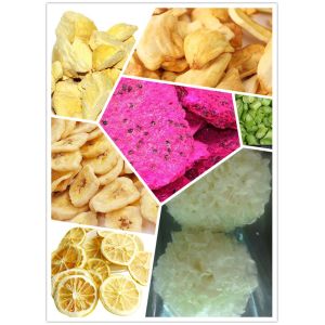 Automatic Food Freeze Dryer For Fruit Pulp Concentrate Juice