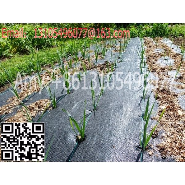 weed barrier ground cover weed mat landscape mat silt fence fabric (82).jpg