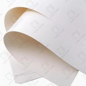 High Quality White Ivory Paper Board 320g 350g C1S Art Board/Folding Box Board