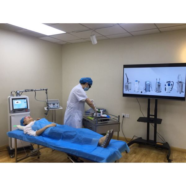 Vertical Wrinkle Remover Machine Supercritical Co2 Extraction Machine For