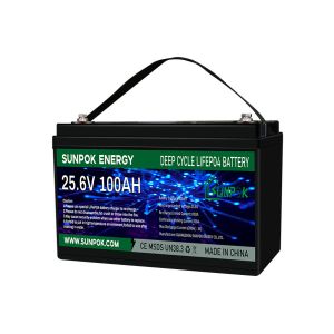 SUNPOK LiFePo4 Portable Deep Cycle Battery Pack Power Station 12V 24V 100ah